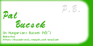 pal bucsek business card